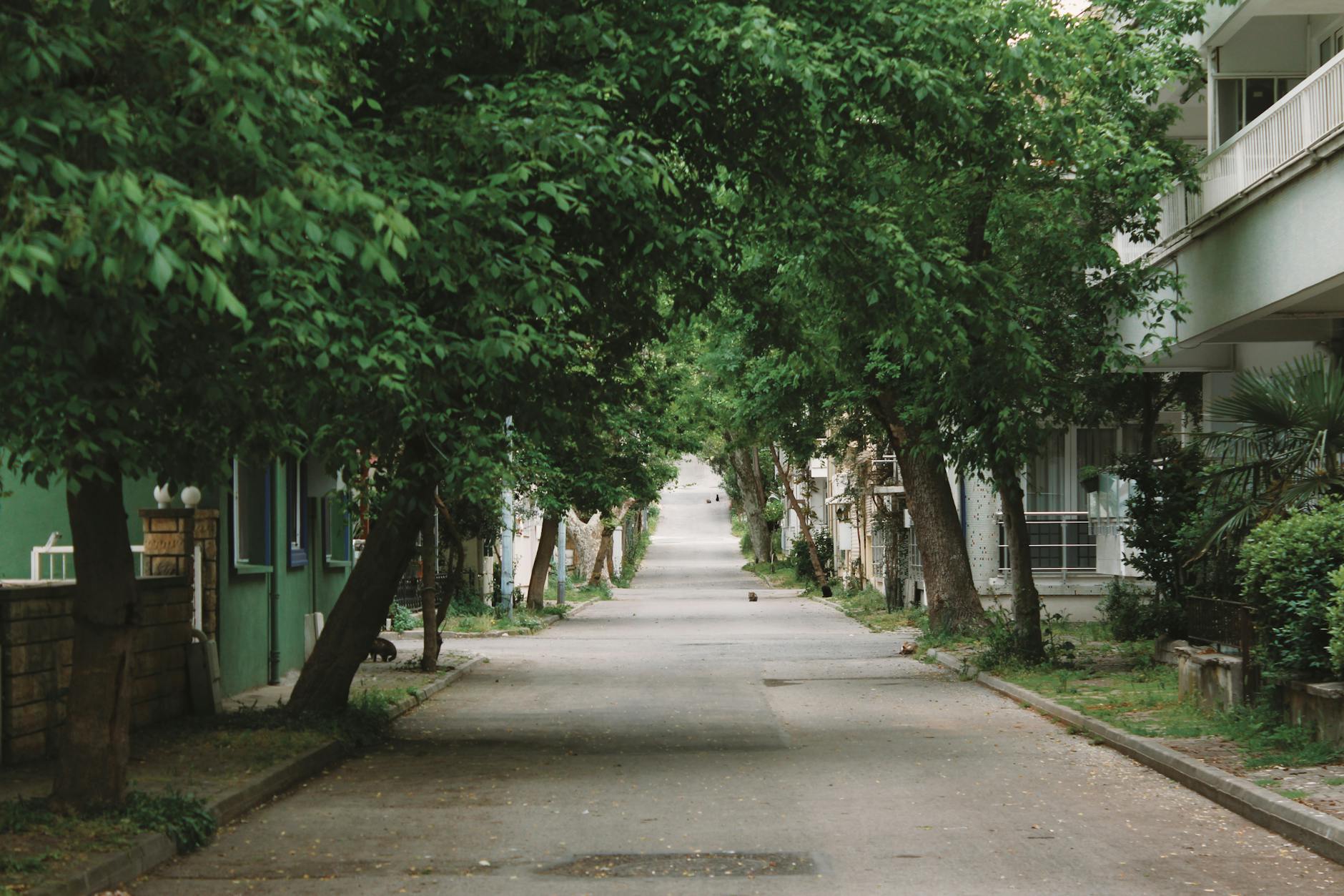 Champel — Geneva's elegant residential neighborhood