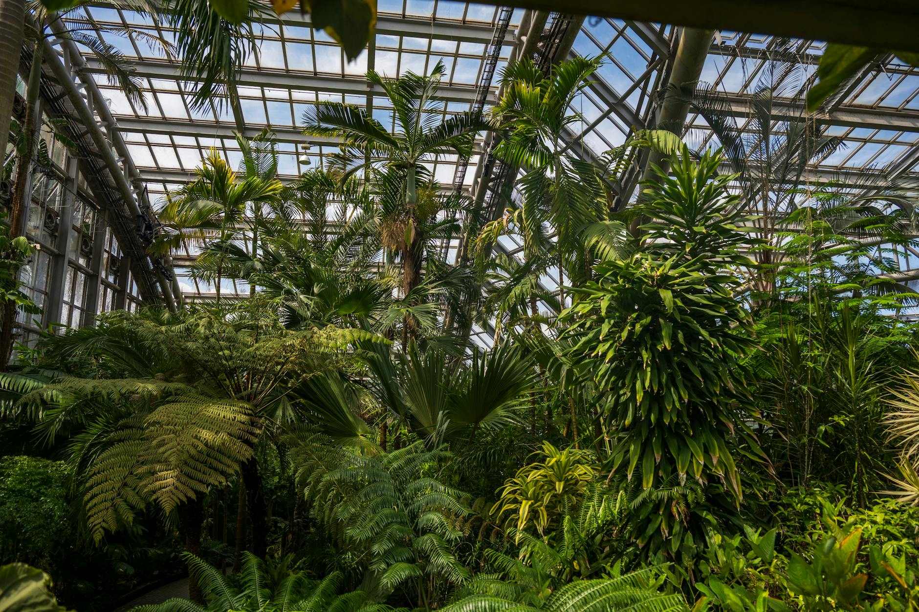 Conservatory and Botanical Garden in Geneva — free admission year-round
