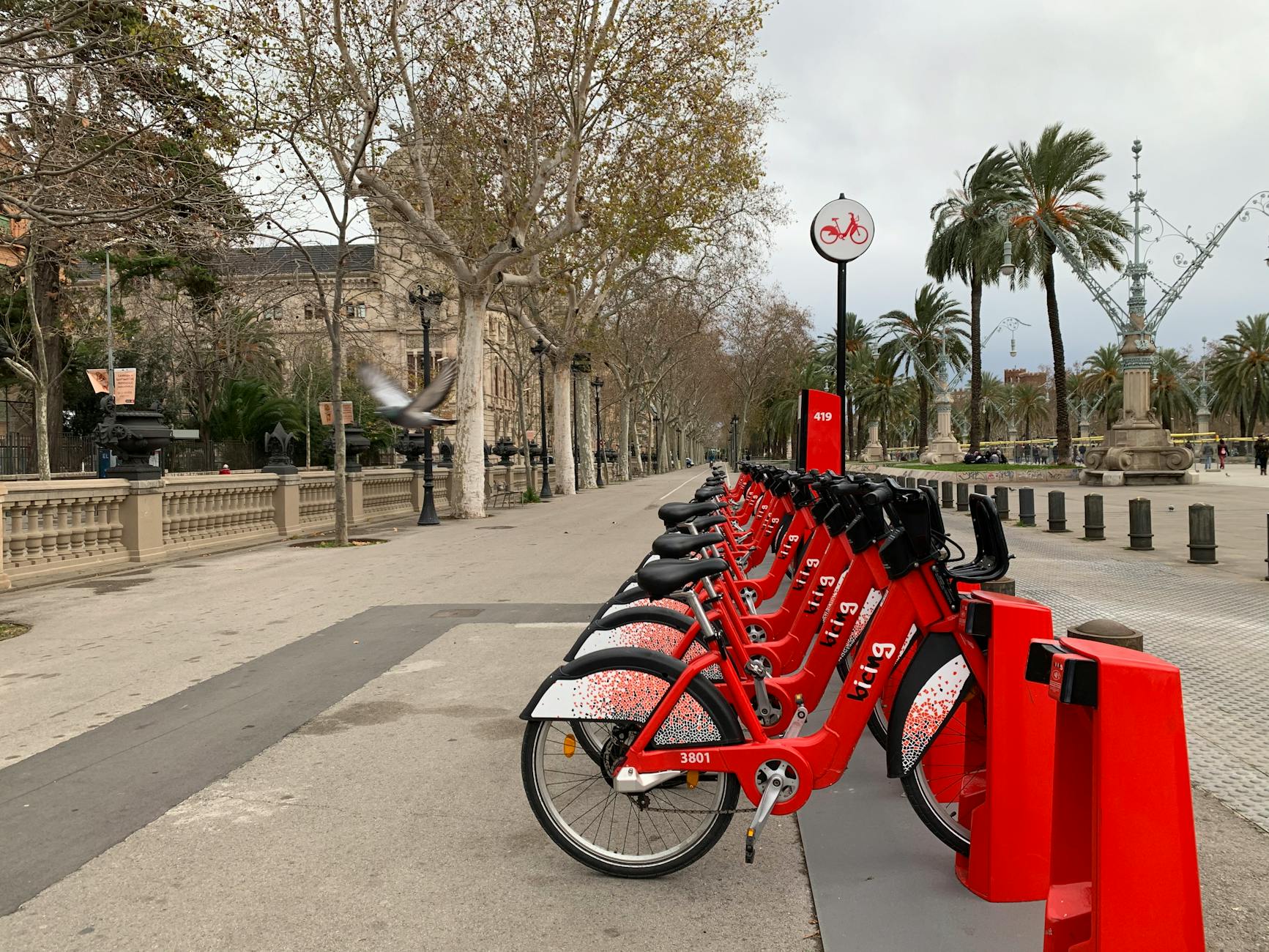 Bike rental cycling in Geneva
