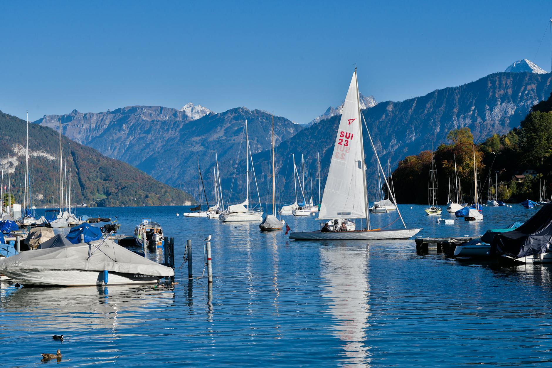 Sailing and water sports on Lake Geneva