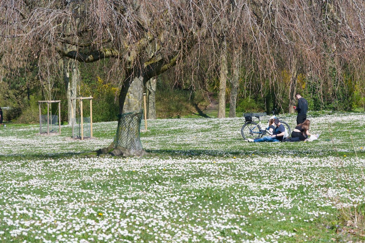 The Parc Bertrand, the leafy heart of the Champel district in Geneva
