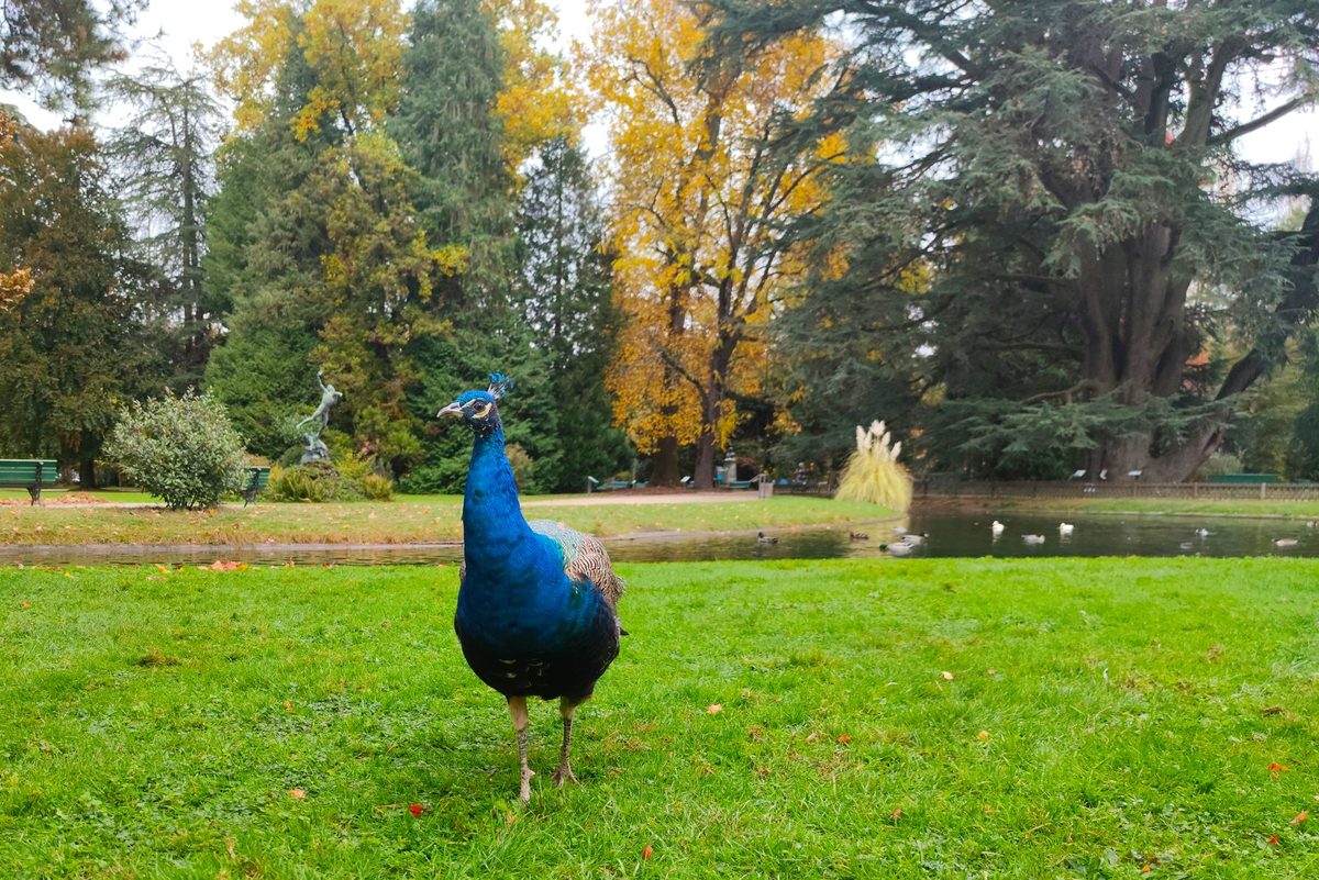 The green grounds of Parc de l'Ariana around the Palais des Nations in Geneva