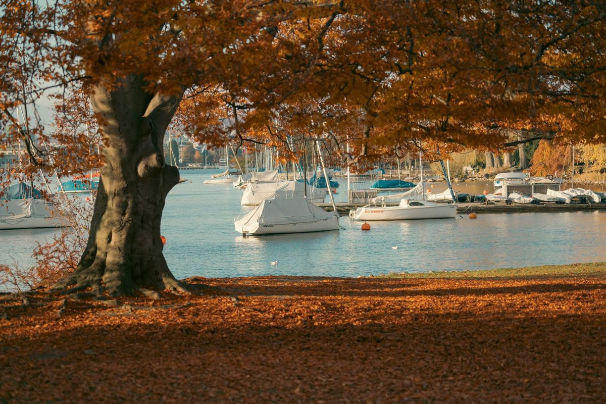 Autumn foliage in a Geneva lakeside park in mid-October