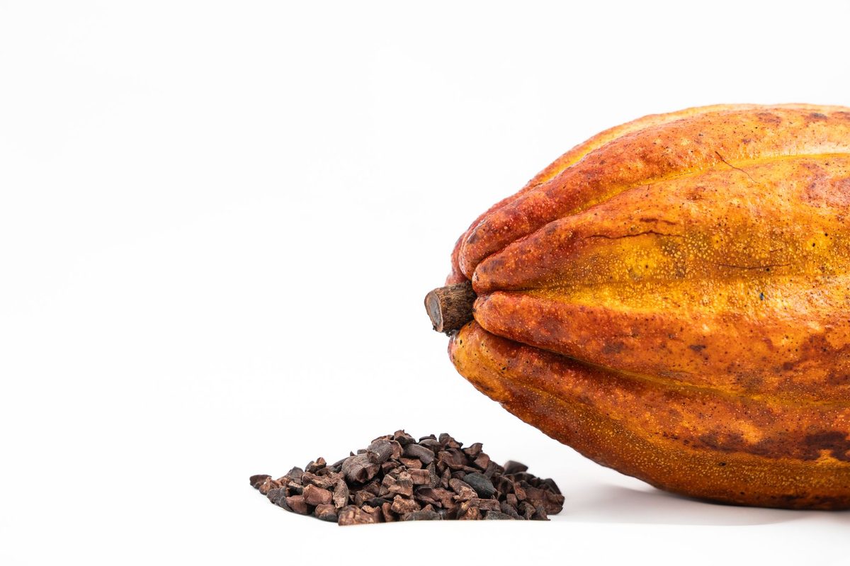 Bean-to-bar chocolate bars and cocoa beans at a Geneva atelier