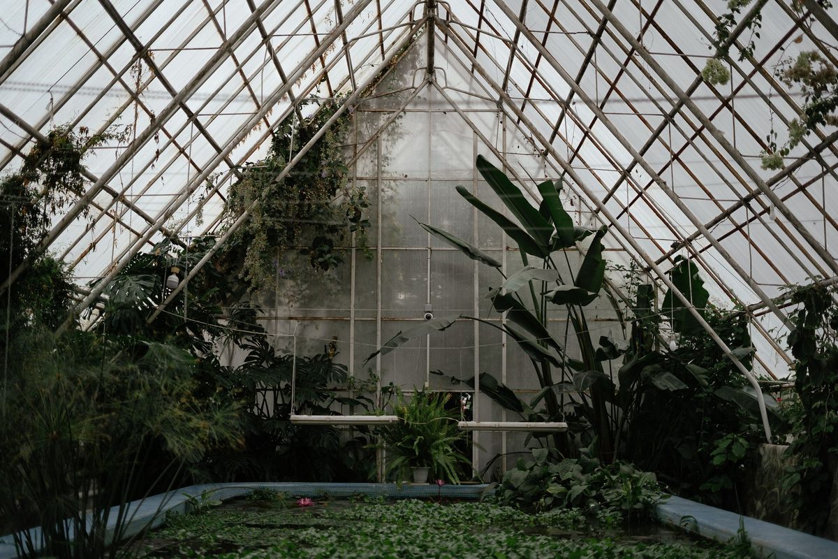 Tropical greenhouse at Geneva's free Botanical Gardens science institution