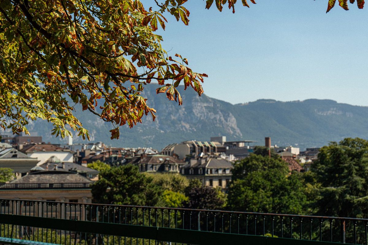 Quiet tree-lined residential street like Geneva's Champel neighborhood