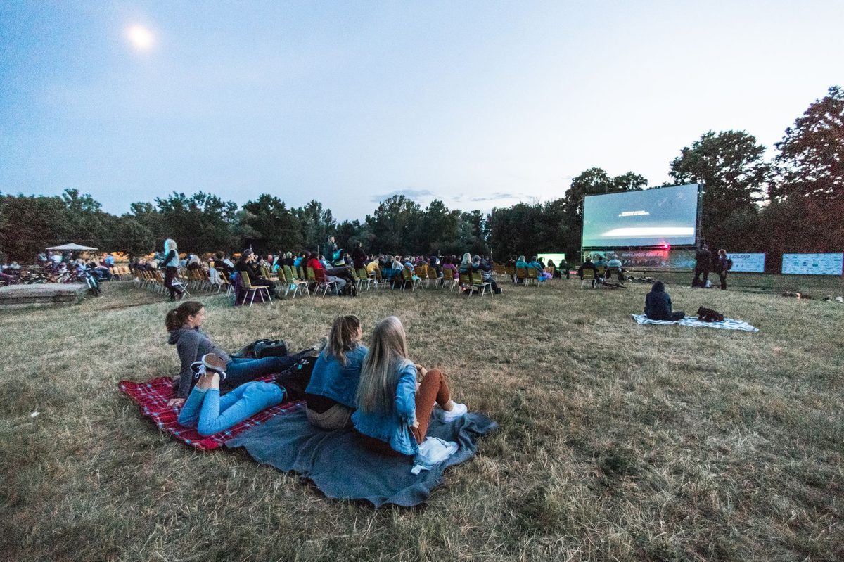 Open-air cinema crowd in a Geneva park on a summer night