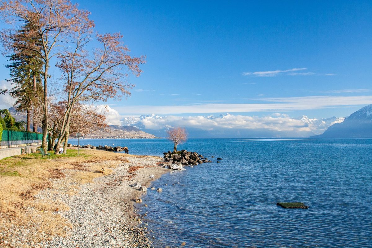 Lakeside park lawn in Geneva, a free spot for a picnic with lake views
