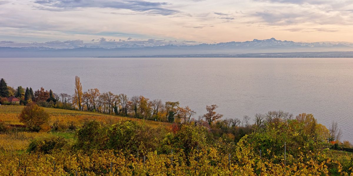 Autumn foliage in a Geneva lakeside park