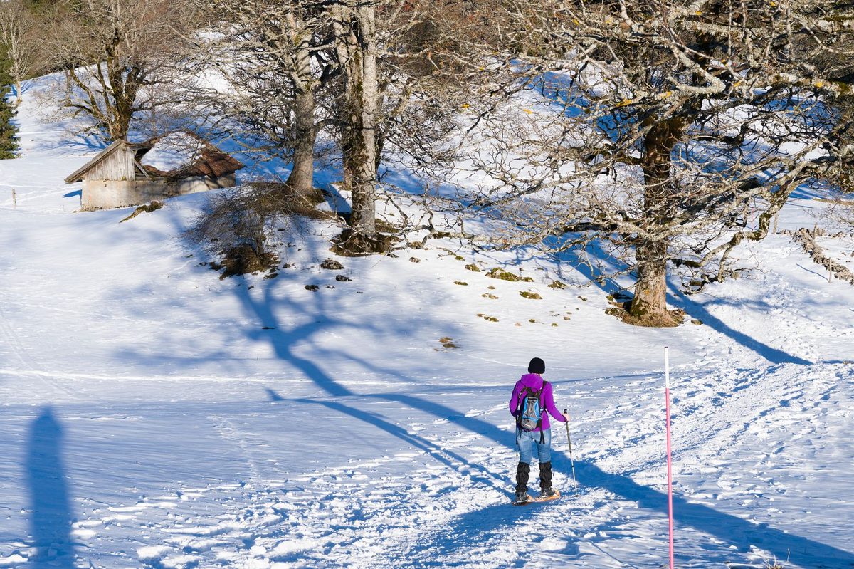 A winter snowshoe trail in the Jura near Geneva, a short drive above the city fog
