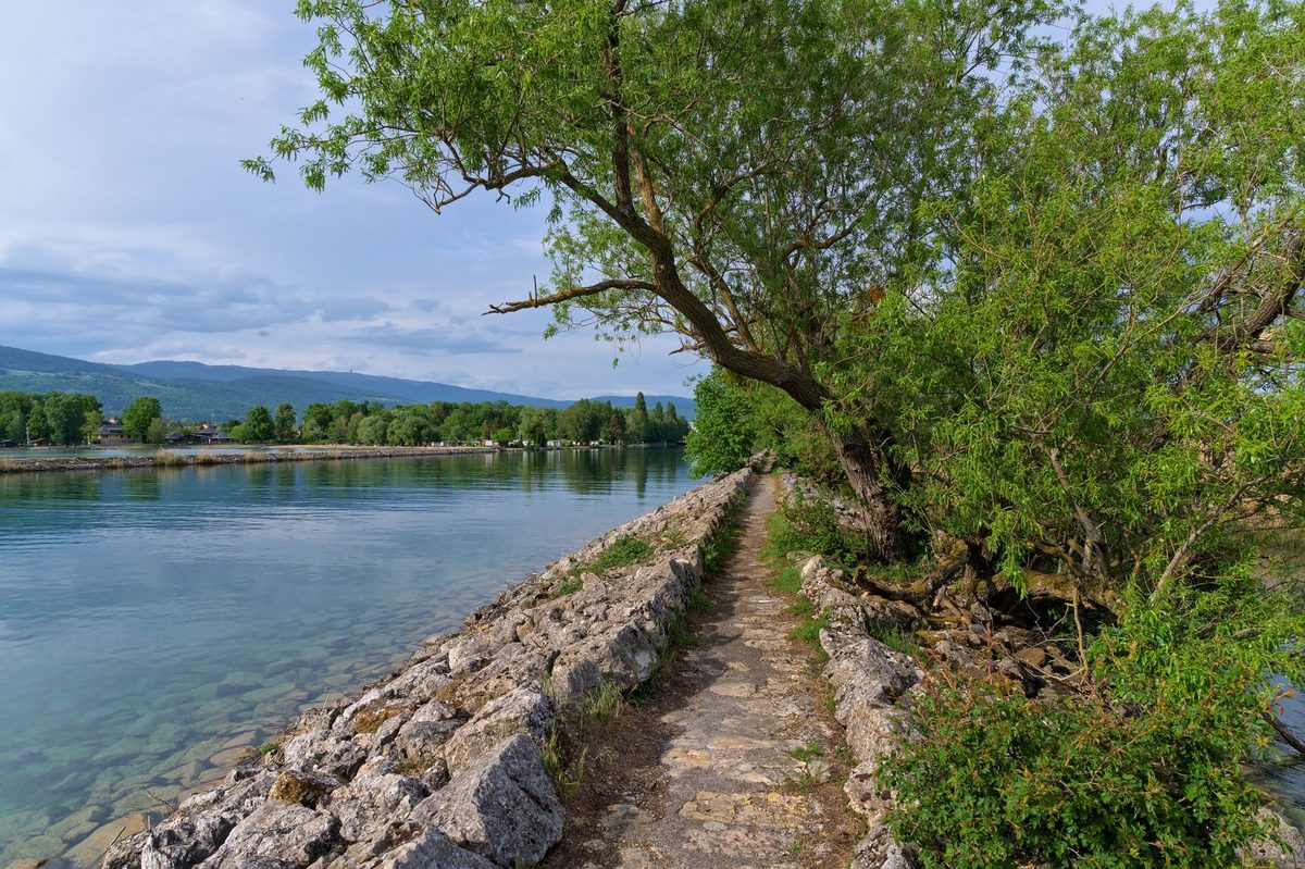 A flat lakeside walking path along Lake Geneva near Versoix, reachable by train from Geneva