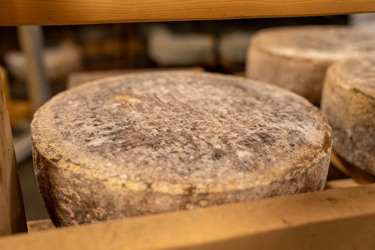 Swiss cheese wheels like Gruyere, sold vacuum-packed in Geneva