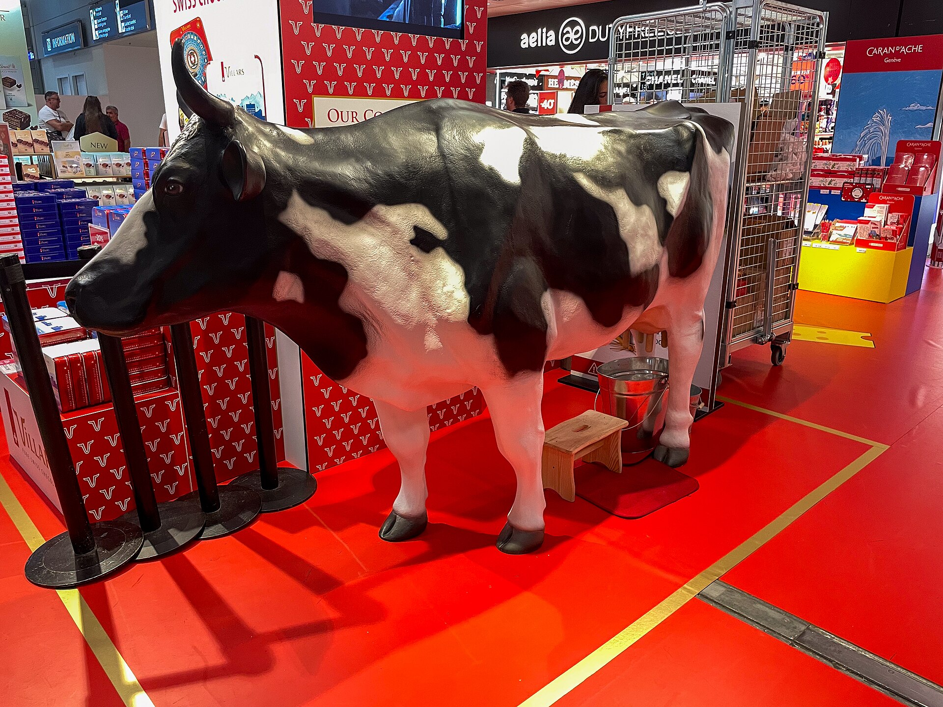 A life-size model cow beside Swiss chocolate displays and duty-free shops airside at Geneva Airport