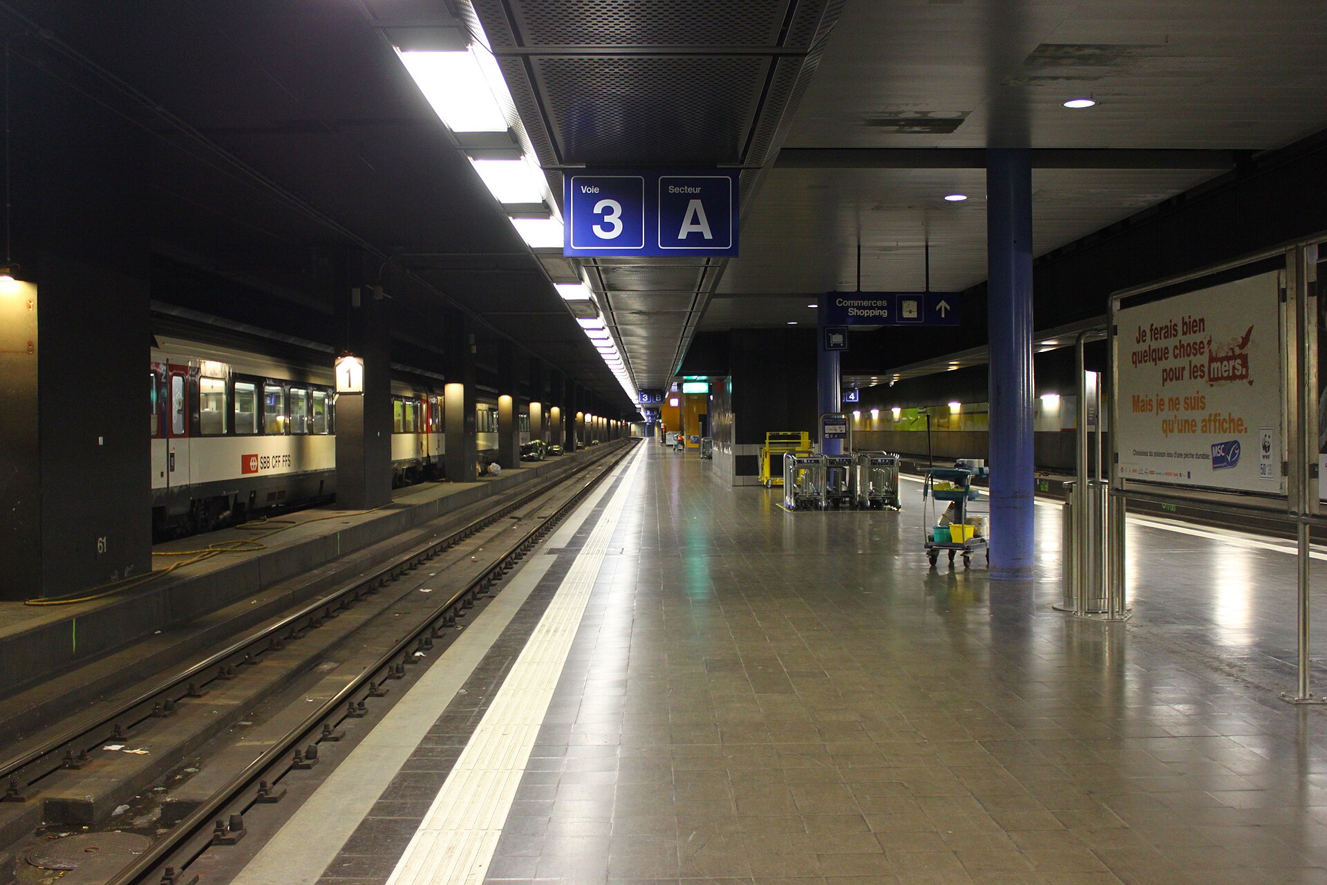 Platform 3 of the underground Genève-Aéroport station with an SBB intercity train waiting at the platform