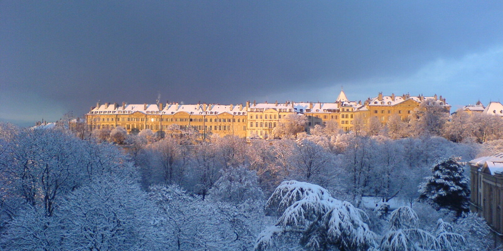Snow-laden trees below a row of grand Old Town houses lit by golden sunlight under a dark winter sky in Geneva
