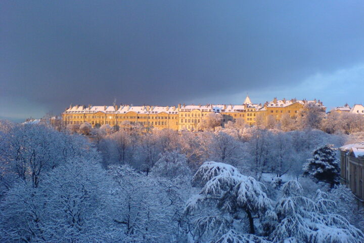 Snow-laden trees below a row of grand Old Town houses lit by golden sunlight under a dark winter sky in Geneva