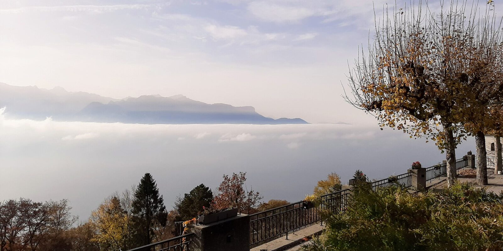 A sea of fog filling the Lake Geneva basin below a hillside terrace with autumn trees, the mountains of Savoy rising above the cloud