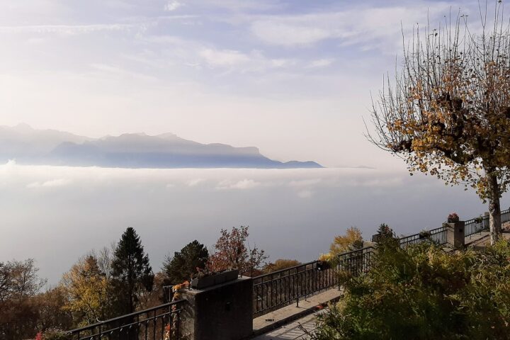 A sea of fog filling the Lake Geneva basin below a hillside terrace with autumn trees, the mountains of Savoy rising above the cloud