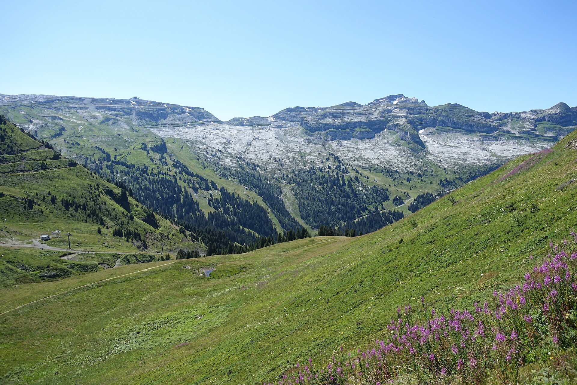The pale limestone plateau of the Désert de Platé above Flaine, seen from a flowered meadow in summer