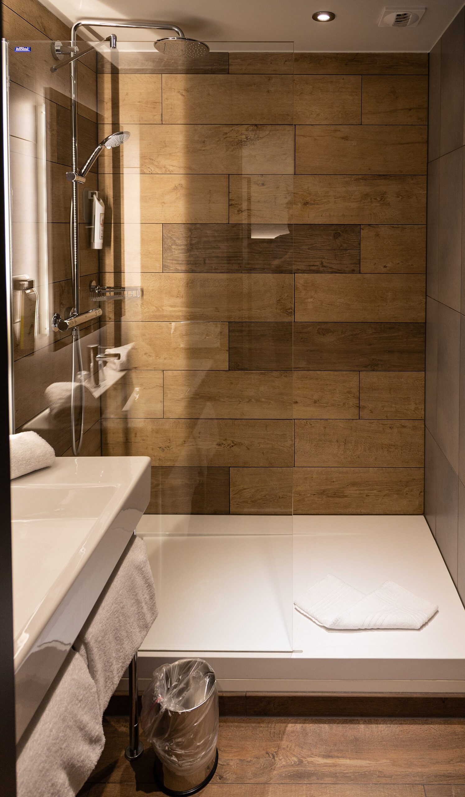 A bathroom at Ibis Styles Palexpo has a glass shower screen, overhead shower, wood-effect wall panels and white basin.