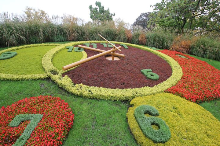 Close-up of the Flower Clock in Geneva's Jardin Anglais, with large numbers planted in grey-green foliage on beds of red and yellow flowers and golden hands
