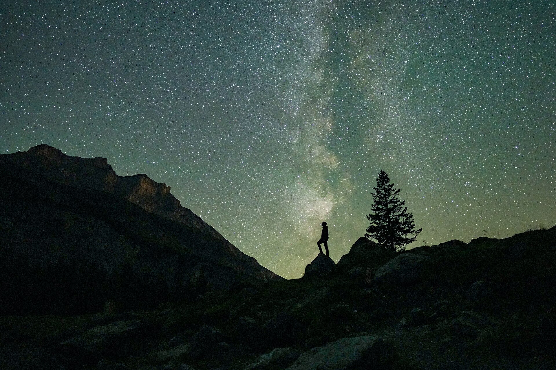 The silhouette of a person standing on a rocky ridge beside a fir tree, looking up at the Milky Way over Swiss mountains during the Perseids