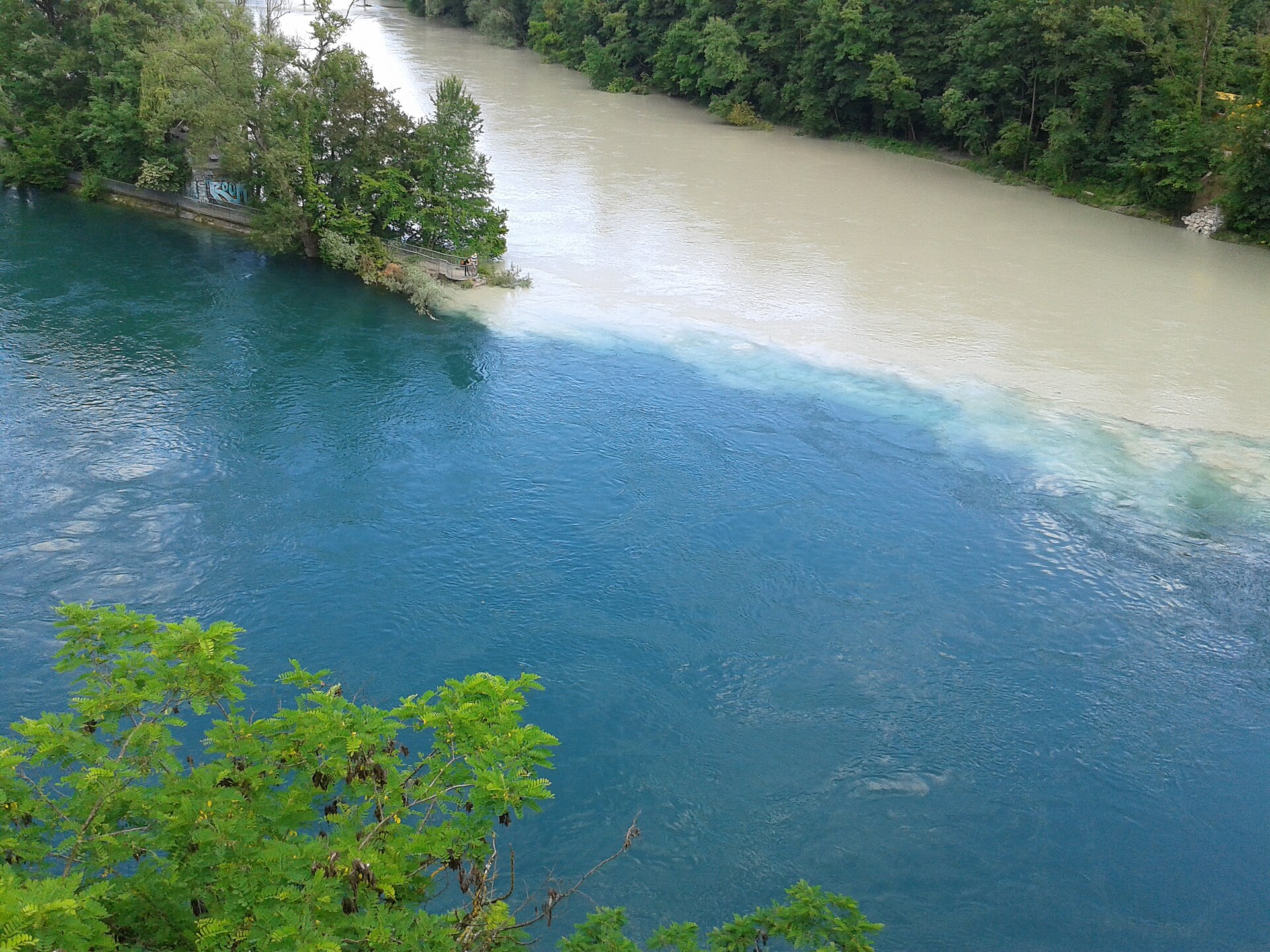 The clear blue Rhône meeting the grey-brown Arve at the Jonction in Geneva, with a wooded point between the two rivers