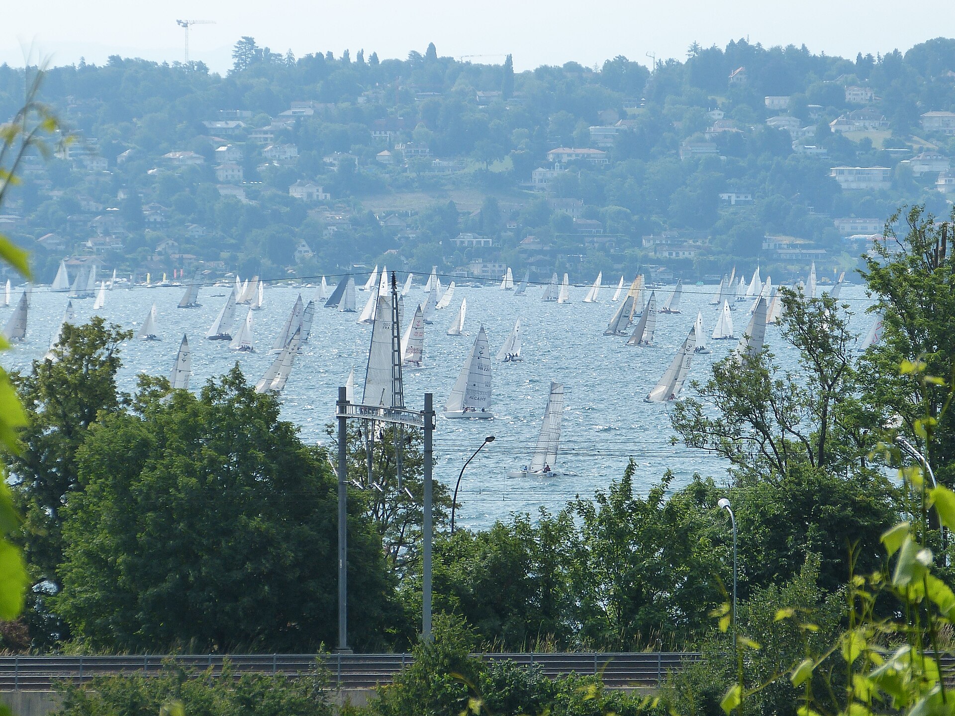 Hundreds of white sails of the Bol d'Or regatta on Lake Geneva seen through trees from Genthod, with the wooded far shore behind