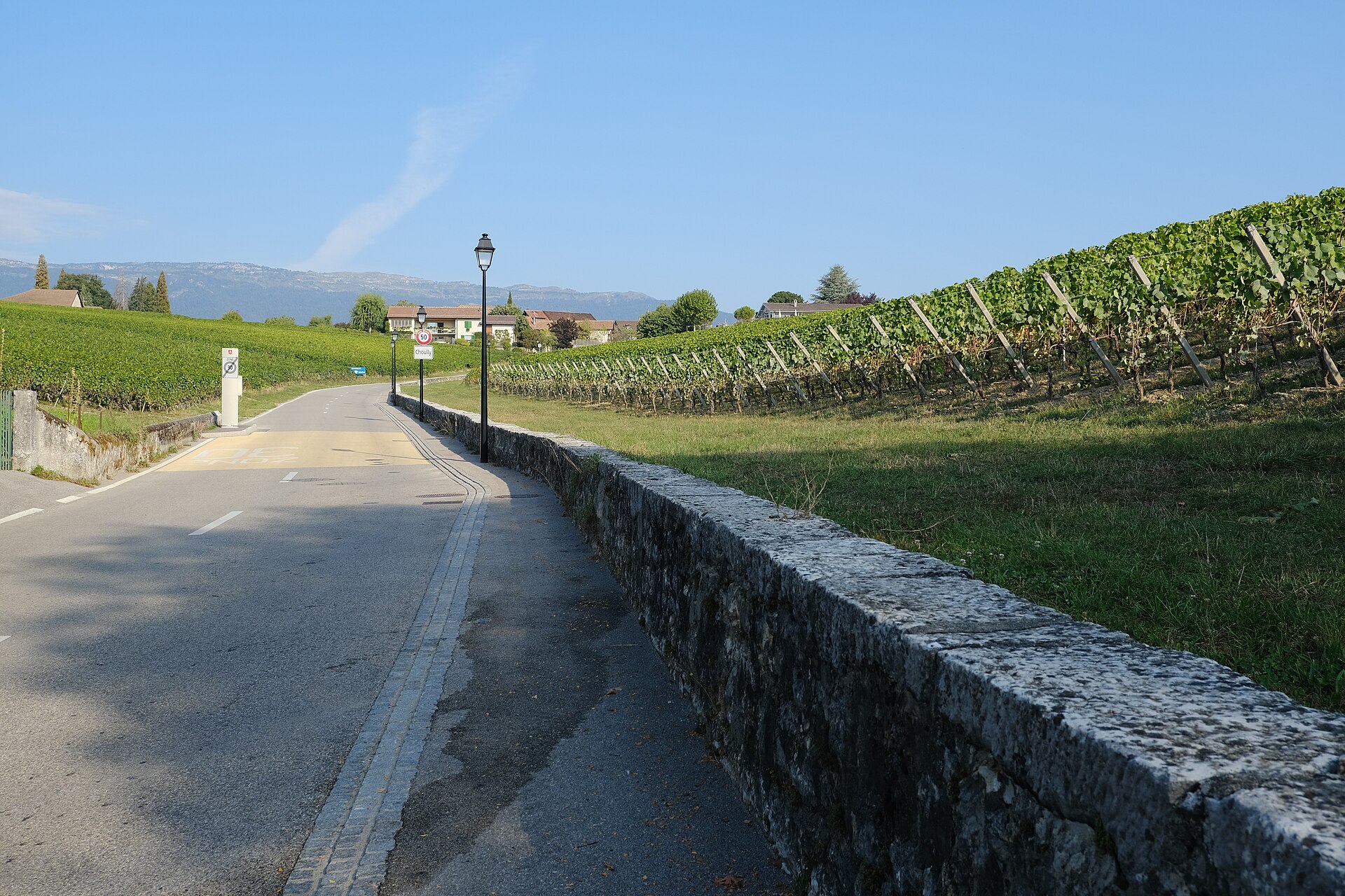 A narrow road beside a stone wall running between vineyards at Satigny in Geneva canton, with a street lamp and the Jura mountains on the horizon