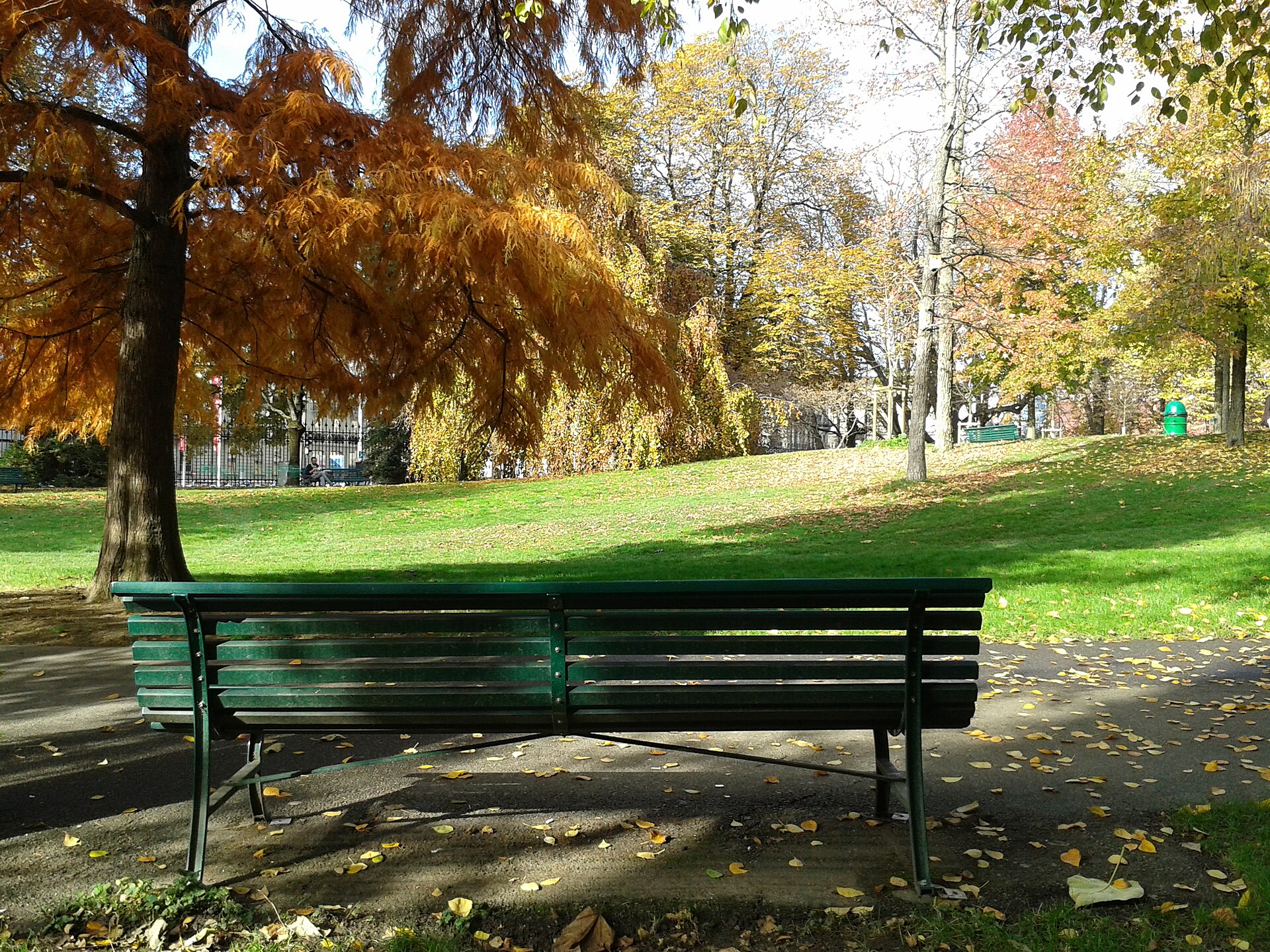 A green bench under trees with golden and orange autumn leaves in the Parc des Bastions in Geneva, with fallen leaves on the grass