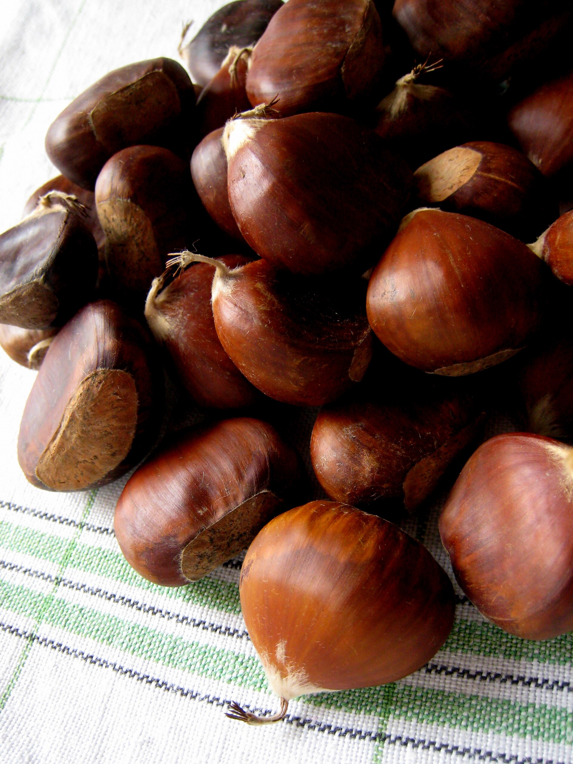 A heap of shiny brown chestnuts on a checked cloth, ready for roasting