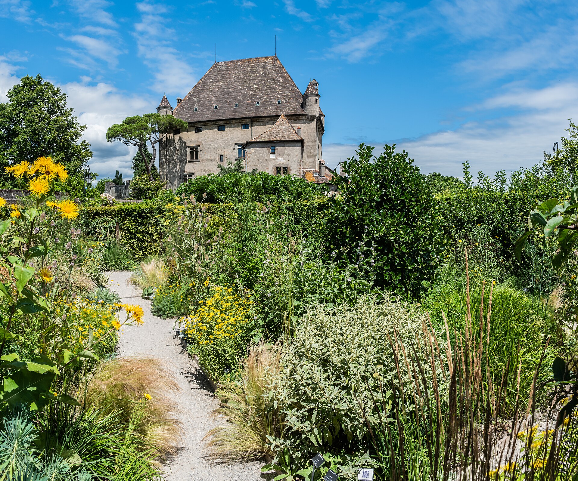 A gravel path winds between flowering plants and hedges in Yvoire's Jardin des Cinq Sens, beneath the castle.