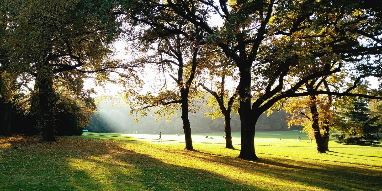Low October sunlight streams through yellowing trees onto lawns and fallen leaves in Geneva's Parc La Grange, with visitors in the distance.