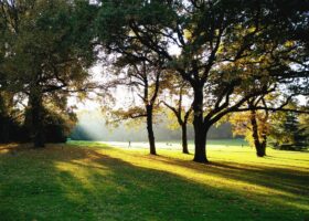 Low October sunlight streams through yellowing trees onto lawns and fallen leaves in Geneva's Parc La Grange, with visitors in the distance.