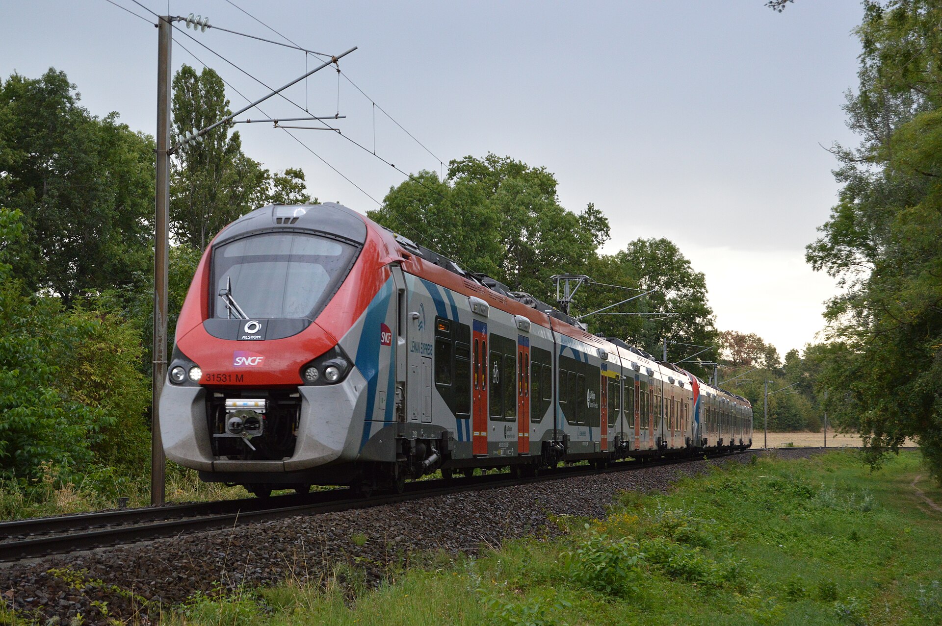 A red-fronted Leman Express train passes along an electrified railway east of Annemasse, surrounded by grass and trees.