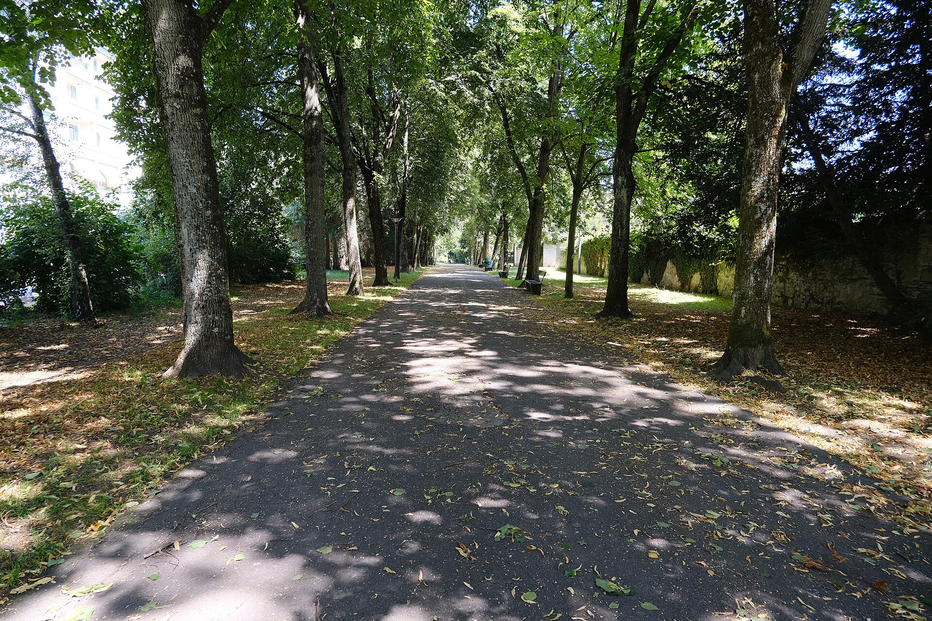 A shaded path runs between rows of tall trees in Parc Bertrand in Champel, Geneva.