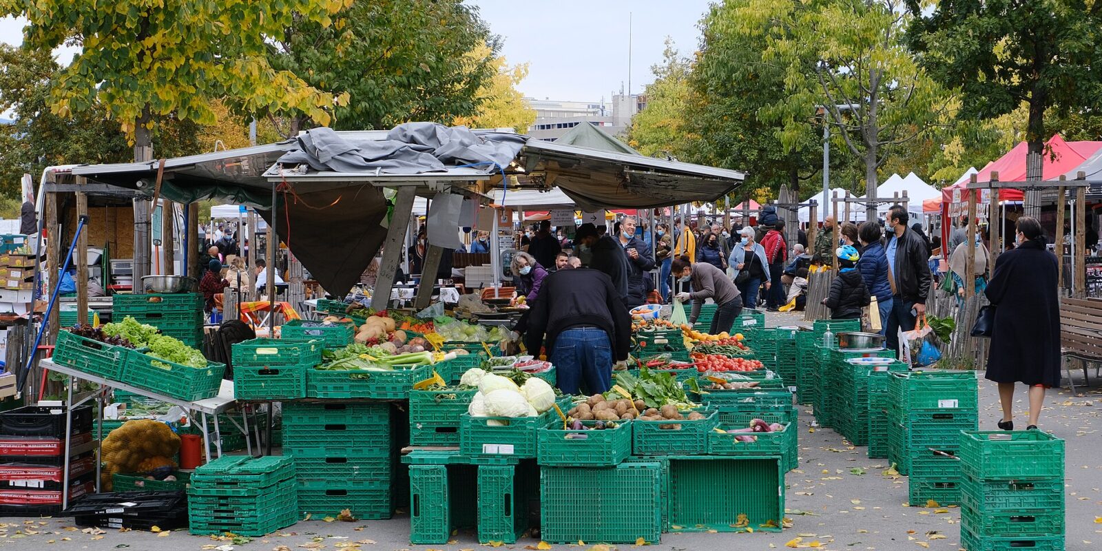 Shoppers browse crates of cabbages, potatoes, tomatoes and leafy vegetables beneath autumn trees at the Plainpalais market in Geneva.