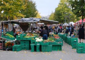 Shoppers browse crates of cabbages, potatoes, tomatoes and leafy vegetables beneath autumn trees at the Plainpalais market in Geneva.