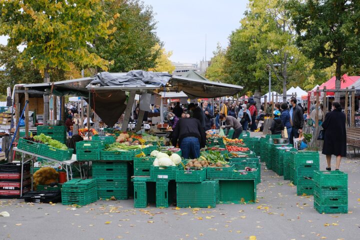 Shoppers browse crates of cabbages, potatoes, tomatoes and leafy vegetables beneath autumn trees at the Plainpalais market in Geneva.