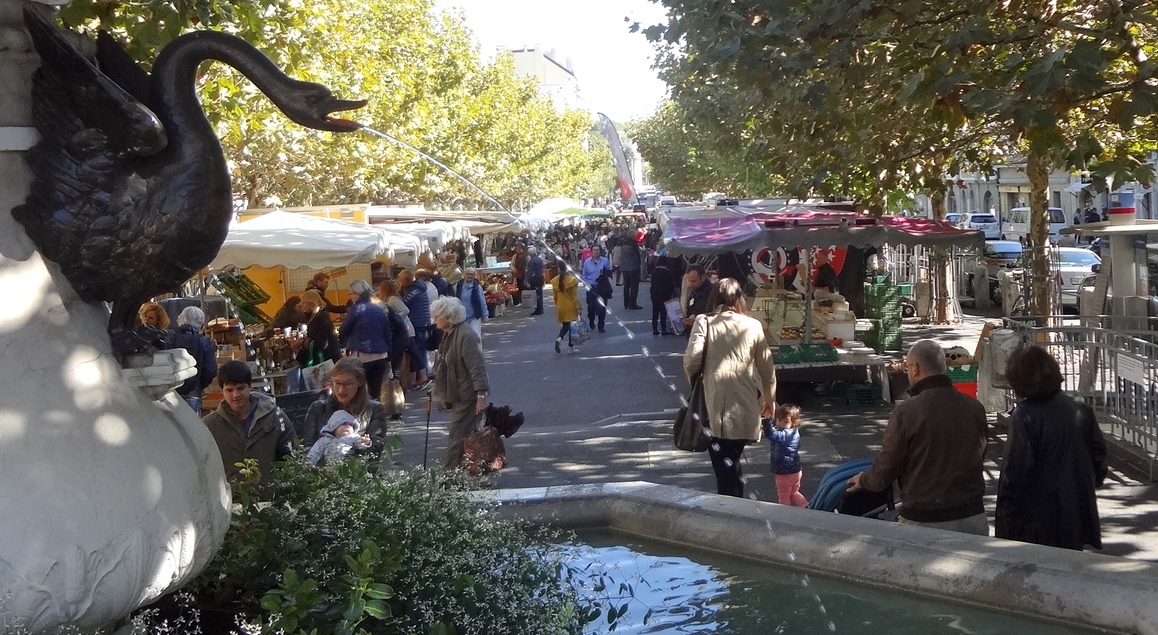 Shoppers pass produce stalls beneath plane trees beside the swan fountain at Carouge market.