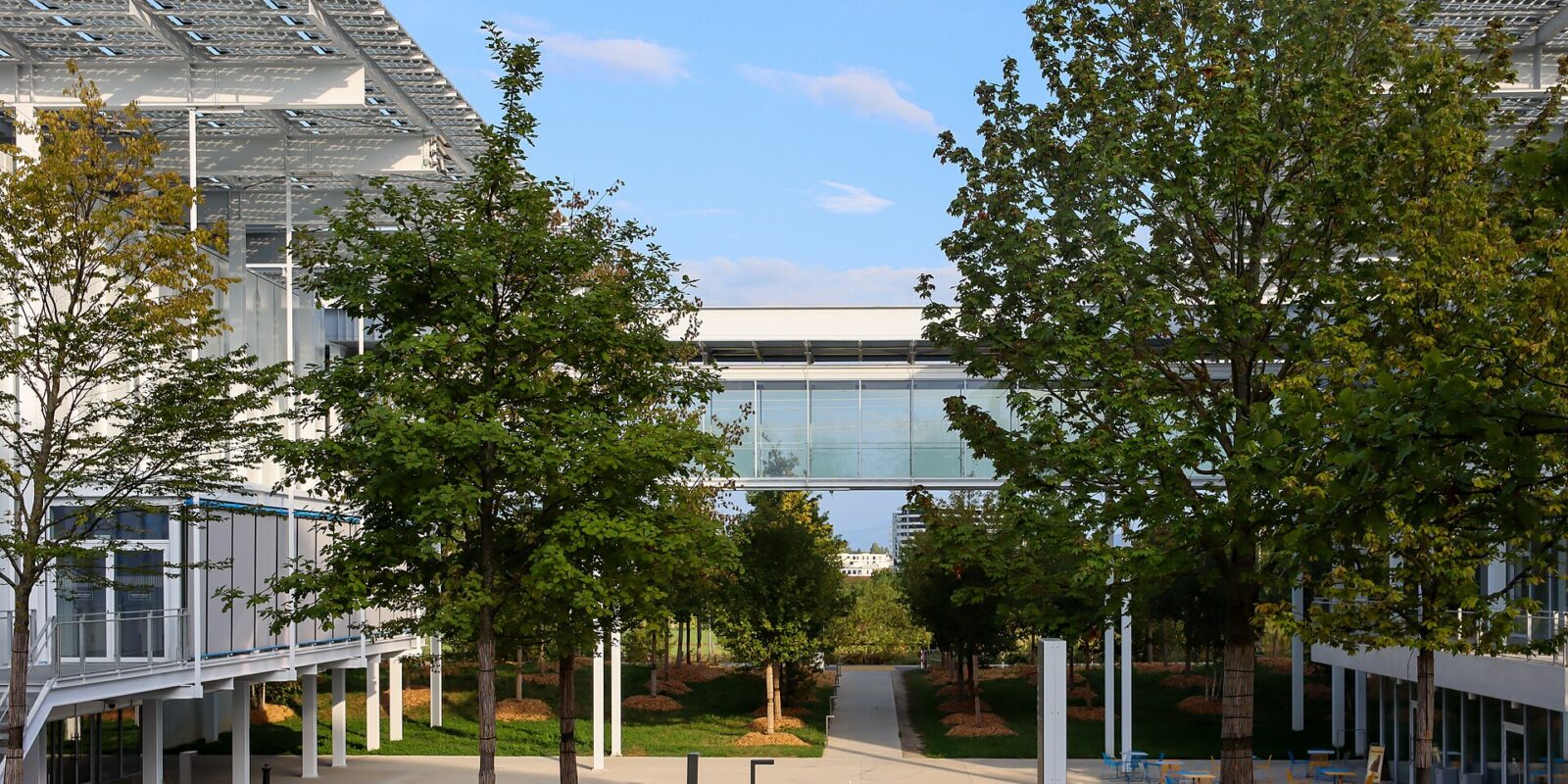 Trees line a path between the elevated pavilions of CERN Science Gateway in Meyrin, with a glazed bridge overhead.