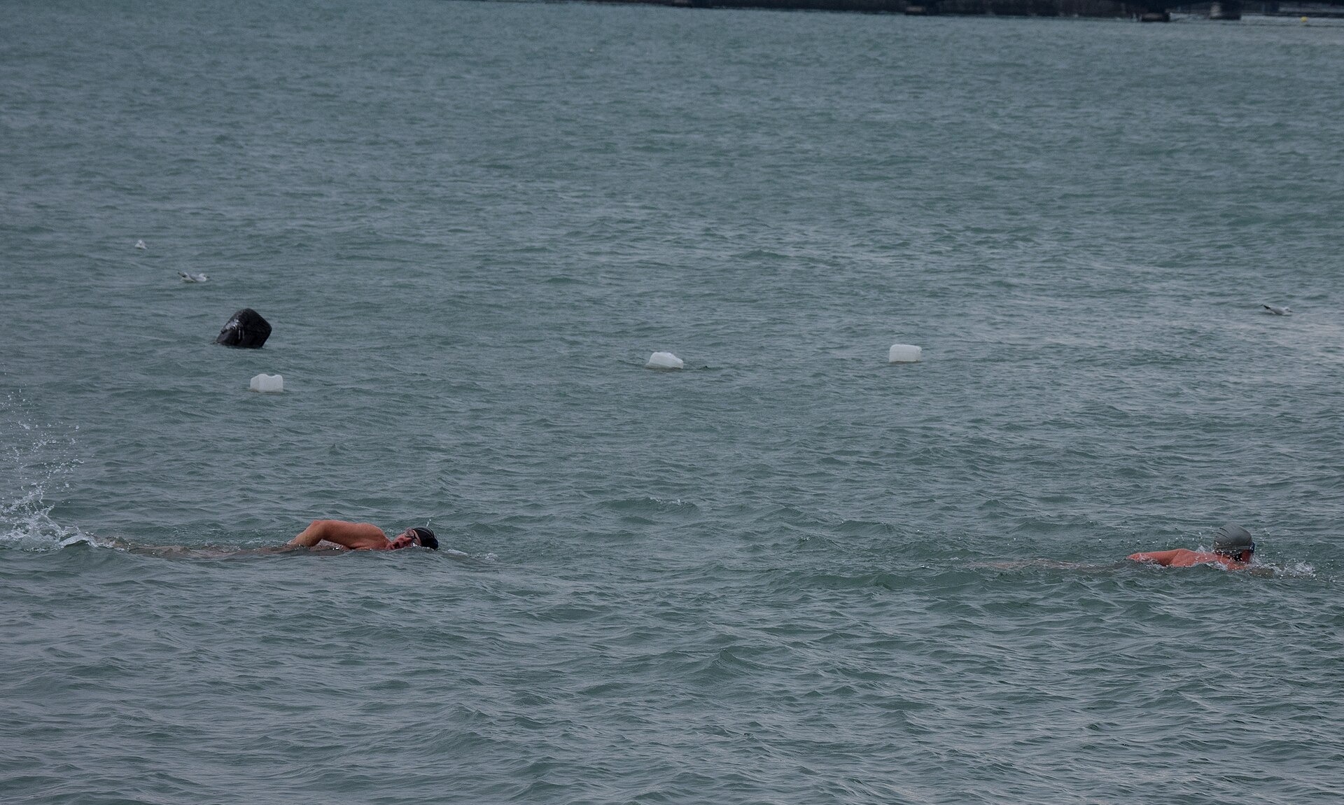 Two swimmers cross grey lake water between white buoys at the Bains des Pâquis in Geneva in January.