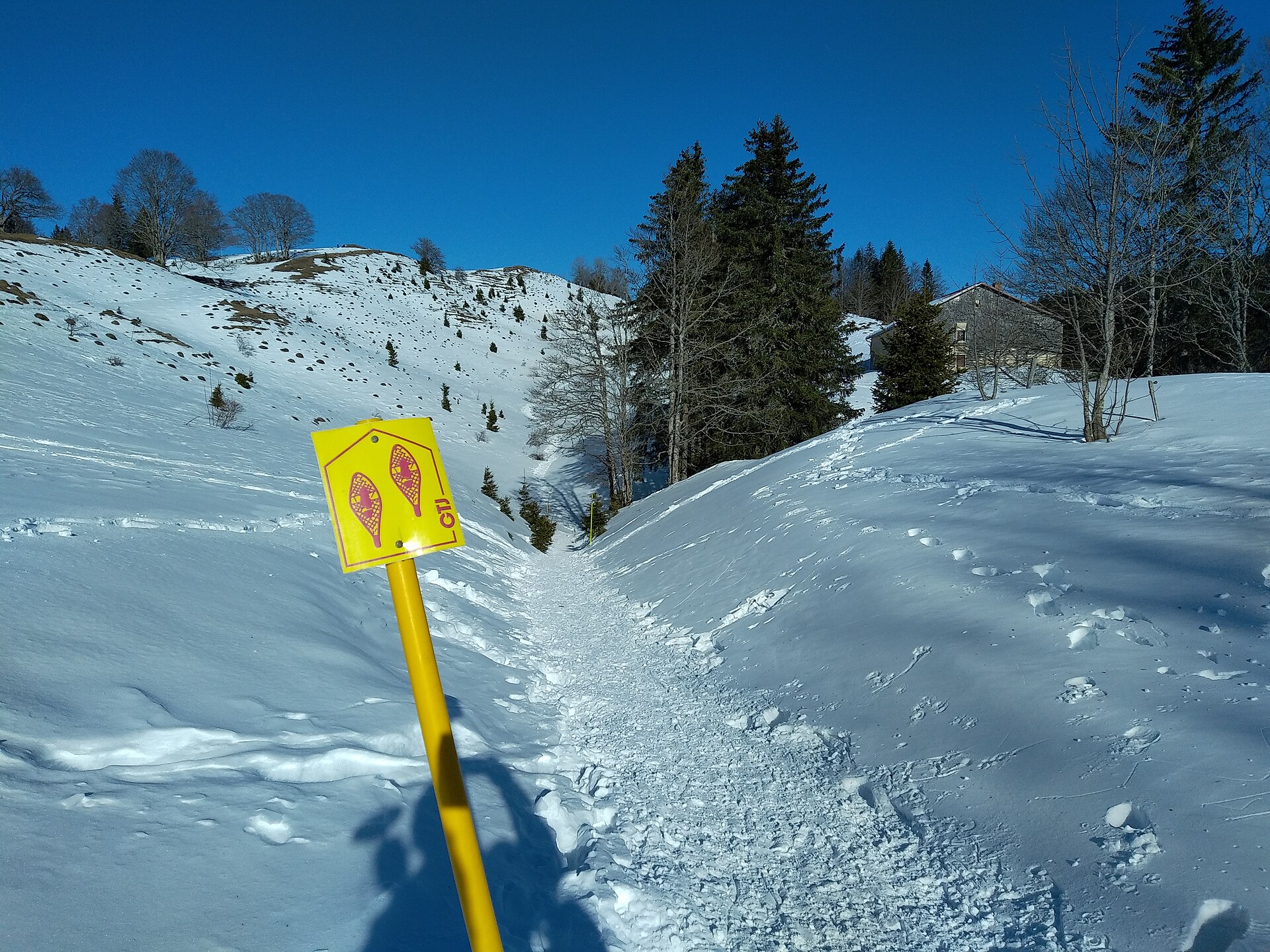 A yellow snowshoe-route marker stands beside a packed winter trail through snowy hills and conifers in the French Jura.